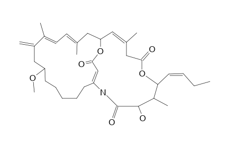 AMPHILACTAM-C