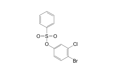 BENZENESULFONIC ACID, 4-BROMO-3-CHLOROPHENYL ESTER