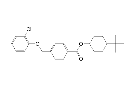 4-tert-butylcyclohexyl 4-[(2-chlorophenoxy)methyl]benzoate
