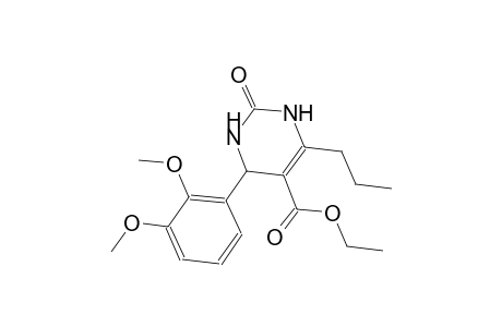 ethyl 4-(2,3-dimethoxyphenyl)-2-oxo-6-propyl-1,2,3,4-tetrahydro-5-pyrimidinecarboxylate