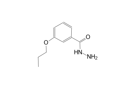 3-propoxybenzohydrazide