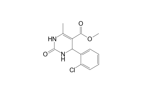 4-(2-Chlorophenyl)-2-keto-6-methyl-3,4-dihydro-1H-pyrimidine-5-carboxylic acid methyl ester