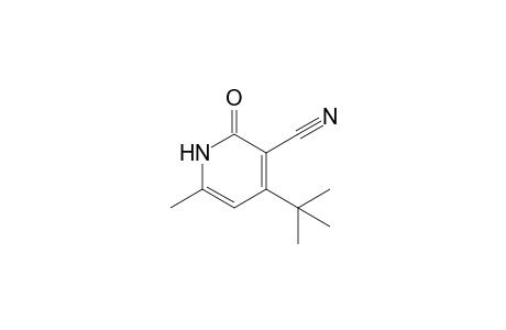 4-tert-butyl-2-keto-6-methyl-1H-pyridine-3-carbonitrile