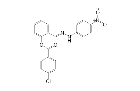 benzoic acid, 4-chloro-, 2-[(E)-[2-(4-nitrophenyl)hydrazono]methyl]phenyl ester