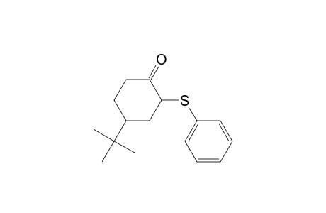Cyclohexanone, 4-(1,1-dimethylethyl)-2-(phenylthio)-