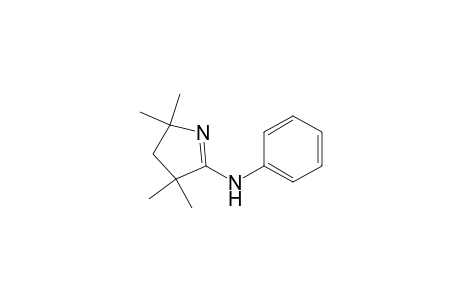 2H-Pyrrol-5-amine, 3,4-dihydro-2,2,4,4-tetramethyl-N-phenyl-