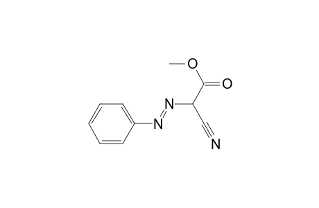 Acetic acid, cyano(phenylazo)-, methyl ester