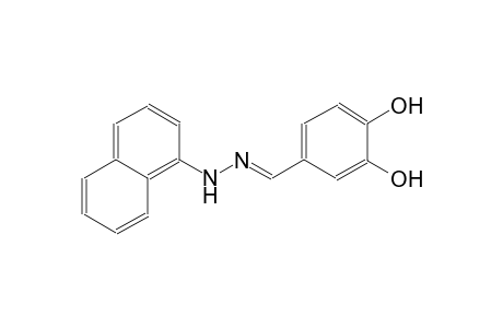 benzaldehyde, 3,4-dihydroxy-, 1-naphthalenylhydrazone