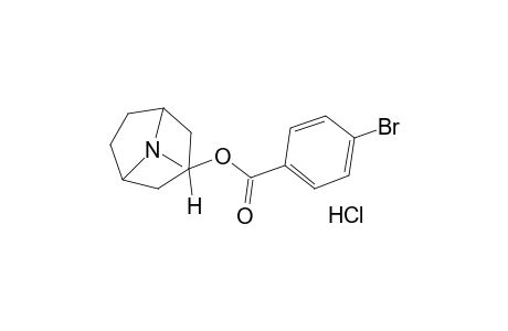 tropan-3-ol, p-bromobenzoate (ester), hydrochloride
