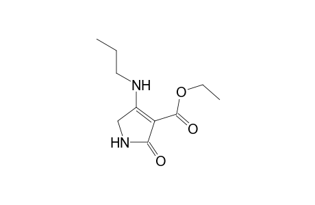 Ethyl 2-oxo-4-(propylamino)-2,5-dihydro-1Hpyrrole-3-carboxylate