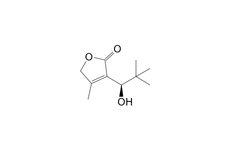 3-[(1R)-1-hydroxy-2,2-dimethylpropyl]-4-methylfuran-2(5H)-one