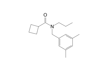 Cyclobutanecarboxamide, N-(3,5-dimethylbenzyl)-N-propyl-