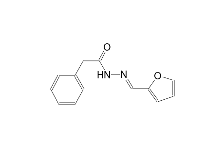 N'-[(E)-2-Furylmethylidene]-2-phenylacetohydrazide
