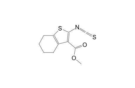 methyl 2-isothiocyanato-4,5,6,7-tetrahydro-1-benzothiophene-3-carboxylate
