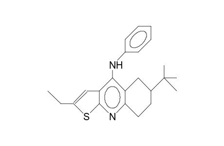 2-Ethyl-6-tert-butyl-4-anilino-5,6,7,8-tetrahydro-thieno(2,3-B)quinoline