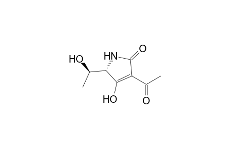 2H-Pyrrol-2-one, 3-acetyl-1,5-dihydro-4-hydroxy-5-(1-hydroxyethyl)-, [R-(R*,S*)]-