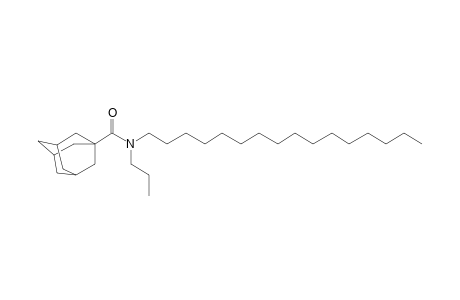 Adamantan-1-carboxamide, N-propyl-N-hexadecyl-