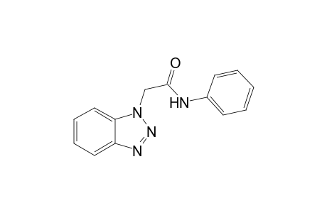 2-(1-benzotriazolyl)-N-phenylacetamide