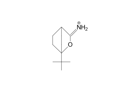 1-tert-Butyl-3-imino-2-oxa-bicyclo(2.2.2)oct-2-ene cation