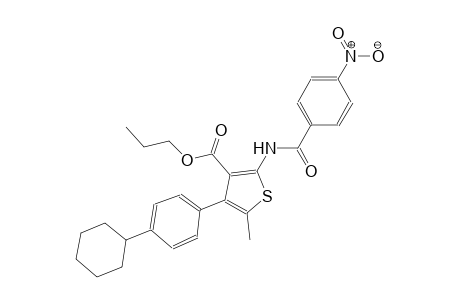 propyl 4-(4-cyclohexylphenyl)-5-methyl-2-[(4-nitrobenzoyl)amino]-3-thiophenecarboxylate