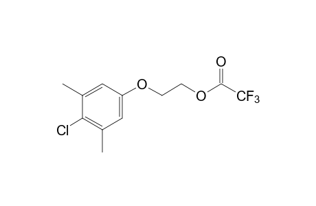 trifluoroacetic acid, 2-[4-chloro-(3,5-xylyloxy)] ethyl ester