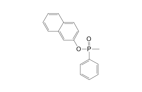 2-[Methyl(phenyl)phosphoryl]oxynaphthalene