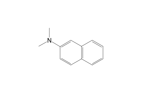 N,N-DIMETHYL-2-NAPHTHYLAMINE