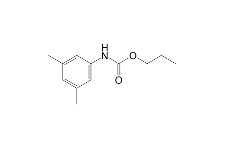 3,5-dimethylcarbanilic acid, propyl ester
