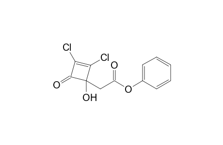 2-(2,3-dichloro-1-hydroxy-4-keto-cyclobut-2-en-1-yl)acetic acid phenyl ester