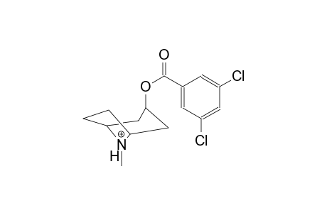 8-azoniabicyclo[3.2.1]octane, 3-[(3,5-dichlorobenzoyl)oxy]-8-methyl-