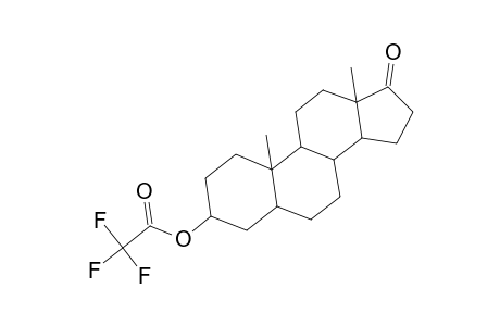 Androstan-17-one, 3-[(trifluoroacetyl)oxy]-, (3.beta.,5.alpha.)-