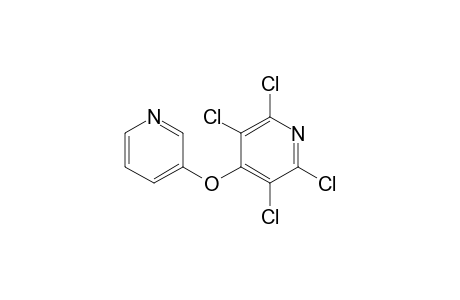 2,3,5,6-Tetrachloro-4-(3-pyridyloxy)pyridine