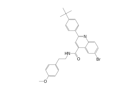 6-bromo-2-(4-tert-butylphenyl)-N-[2-(4-methoxyphenyl)ethyl]-4-quinolinecarboxamide