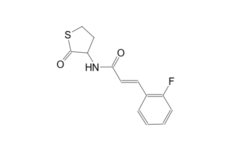 (2E)-3-(2-fluorophenyl)-N-(2-oxotetrahydro-3-thienyl)-2-propenamide