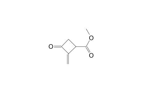 Methyl 2-methylene-3-oxocyclobutanecarboxylate