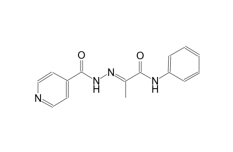 4-pyridinecarboxylic acid, 2-[(E)-1-methyl-2-oxo-2-(phenylamino)ethylidene]hydrazide