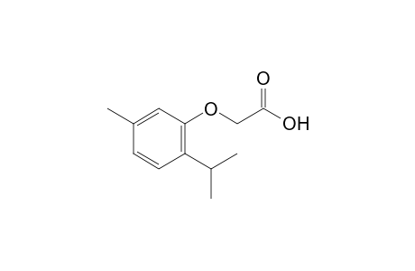 (Thymyloxy)acetic acid