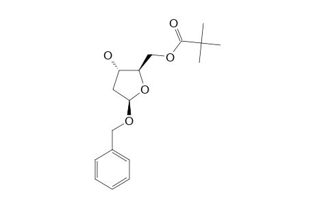 PHENYLMETHYL-2-DEOXY-5-O-(2,2-DIMETHYLPROPANOYL)-BETA-D-ERYTHRO-PENTOFURANOSIDE