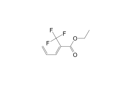 Ethyl (2Z/E)-2-(trifluoromethyl)-2,4-pentadienoate