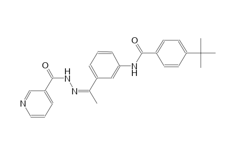 4-tert-butyl-N-{3-[(1Z)-N-(3-pyridinylcarbonyl)ethanehydrazonoyl]phenyl}benzamide