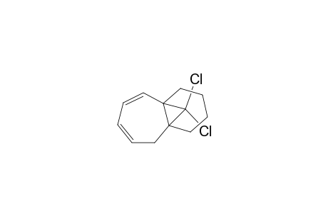 10,10-dichloro-1,2,3,4-tetrahydro-4a,9a-methano-5H-benzocycloheptene