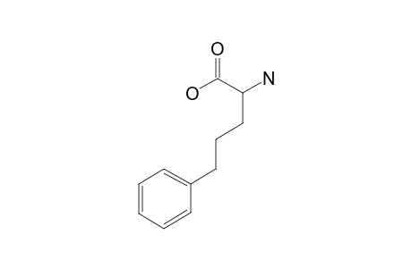 2-Amino-5-phenylpentanoic acid