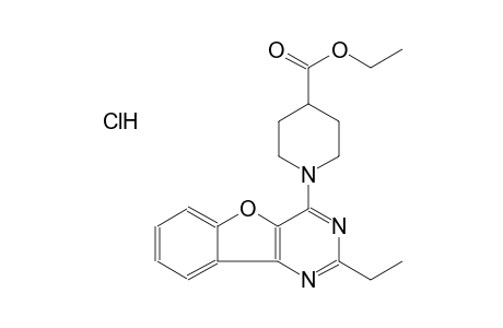 ethyl 1-(2-ethyl[1]benzofuro[3,2-d]pyrimidin-4-yl)-4-piperidinecarboxylate hydrochloride