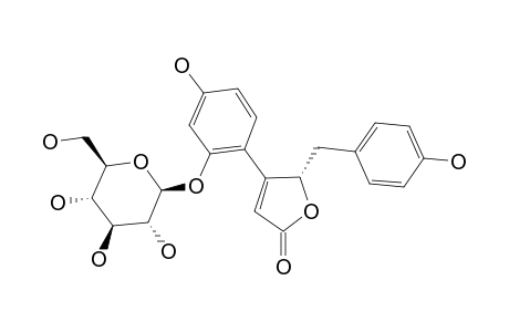 KUZUBUTENOLIDE-A;(4-R)-3-(2-BETA-D-GLUCOPYRANOSYLOXY-4-HYDROXYPHENYL)-4-(4-HYDROXYBENZYL)-BUT-2-EN-4-OLIDE