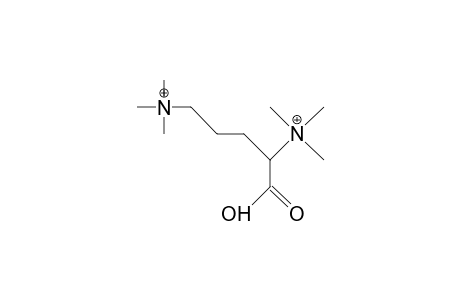 Ornithine-betaine dication