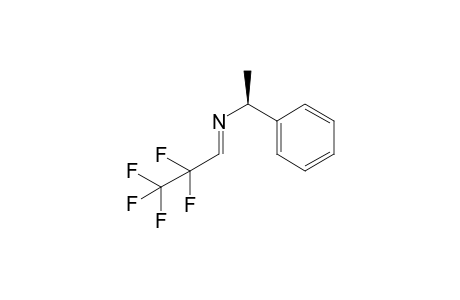 (S,E)-N-(2,2,3,3,3-pentafluoropropylidene)-1-phenylethanamine