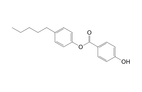 Benzoic acid, 4-hydroxy-, 4-pentylphenyl ester