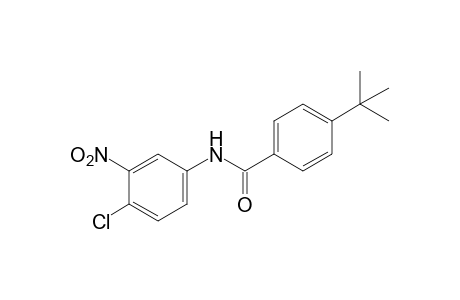 4-tert-butyl-4'-chloro-3'-nitrobenzanilide