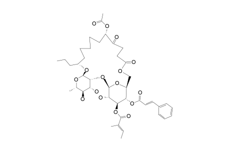 IPOMOEASSIN-E