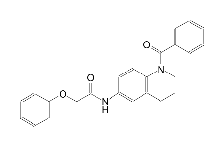 N-(1-benzoyl-1,2,3,4-tetrahydro-6-quinolinyl)-2-phenoxyacetamide